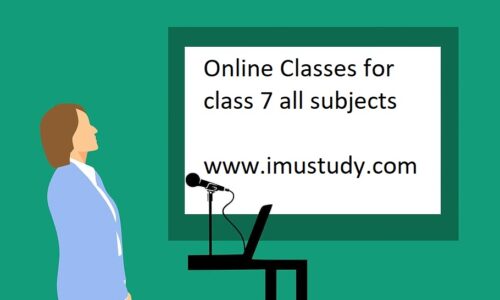 Online classes for class 7, Live interactive class